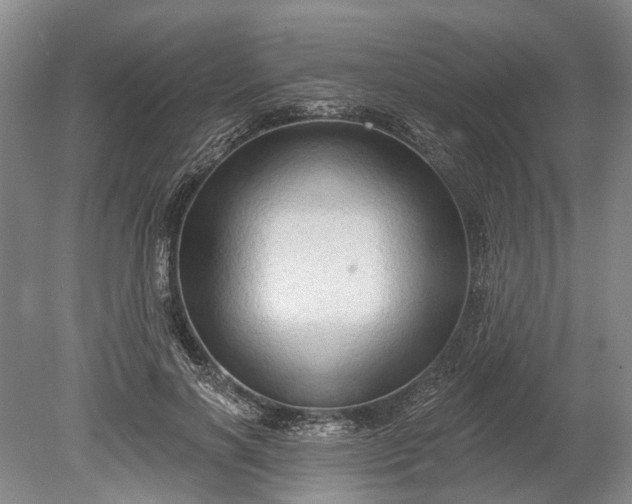 X0000078890646200611271354