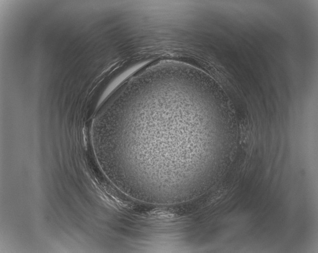 X0000078890648200611271354