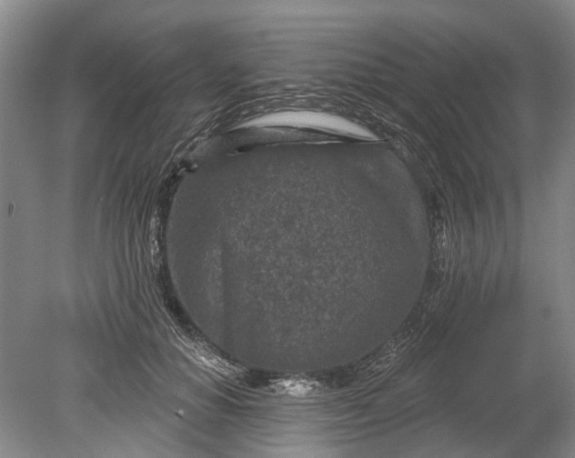 X0000078890654200611271354