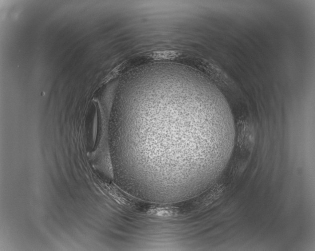 X0000078890655200611271354