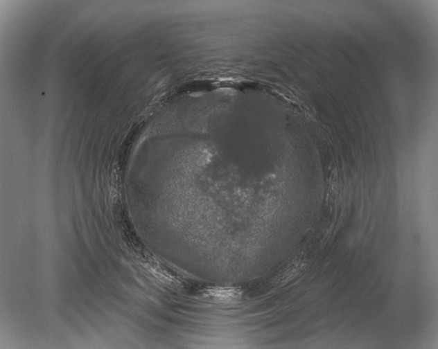 X0000078890659200611271354