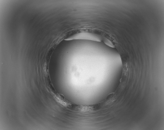 X0000078890670200611271354