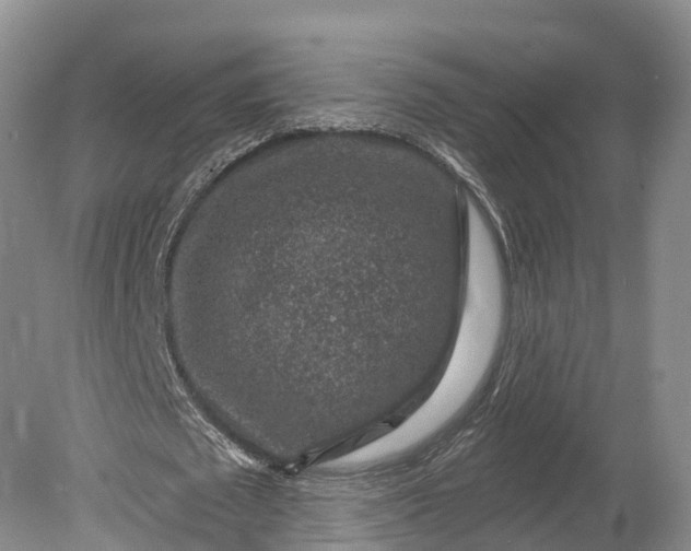 X0000078890673200611271353