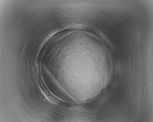 X0000078890674200611271353