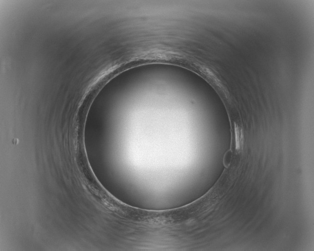 X0000078890675200611271353