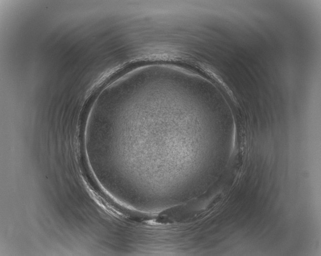 X0000078890677200611271353