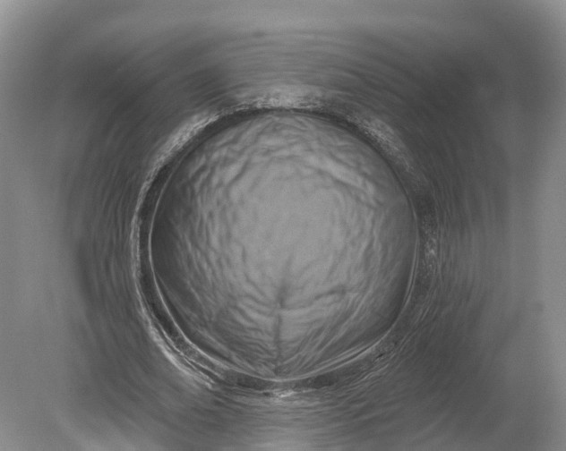 X0000078890678200611271353