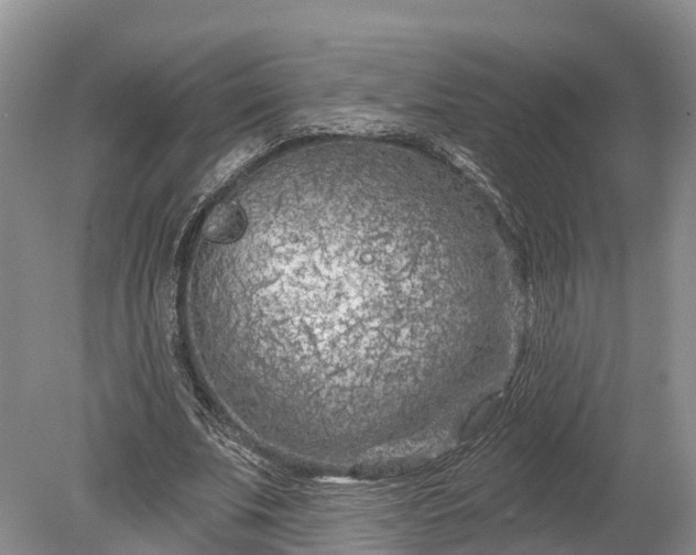 X0000078890679200611271353