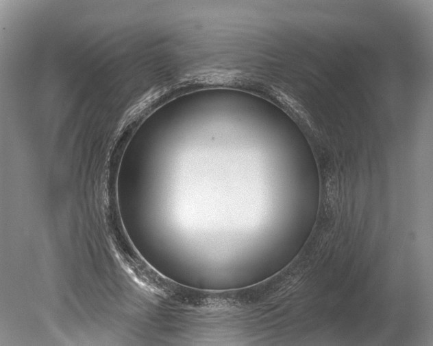 X0000078890682200611271353