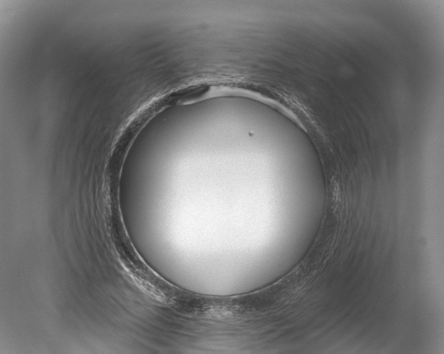 X0000078890684200611271353