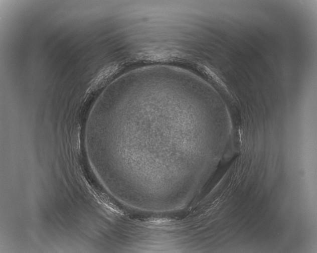 X0000078890685200611271353