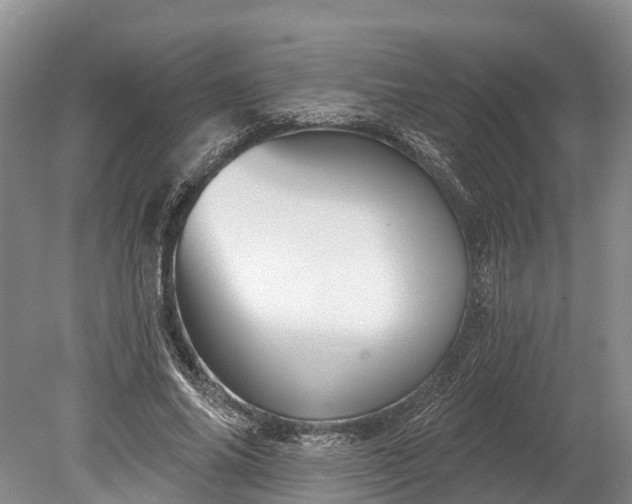 X0000078890686200611271353