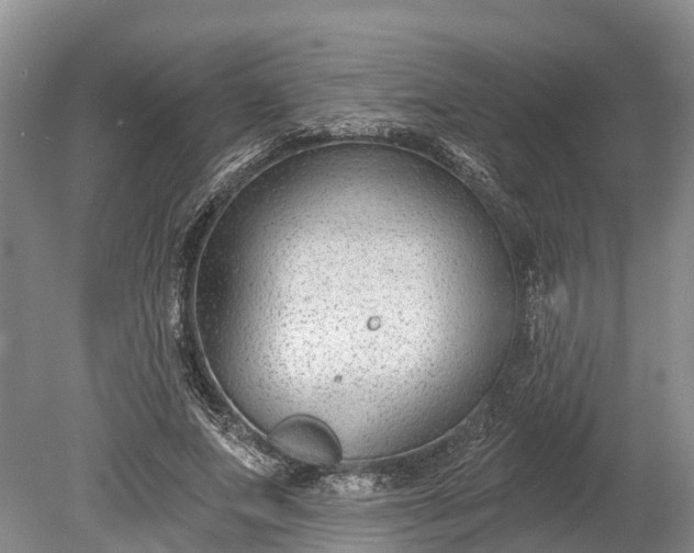 X0000078890687200611271353