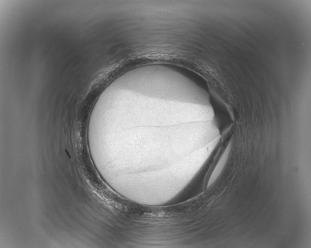 X0000078890688200611271353