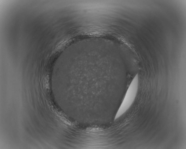 X0000078890689200611271353