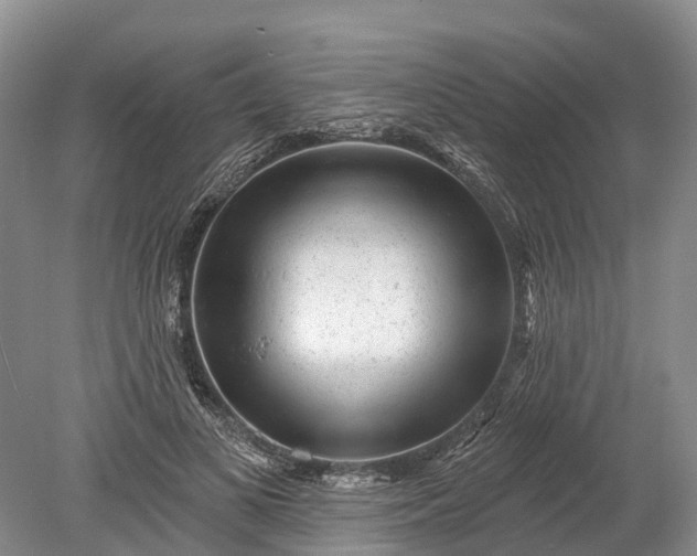 X0000078890693200611271353