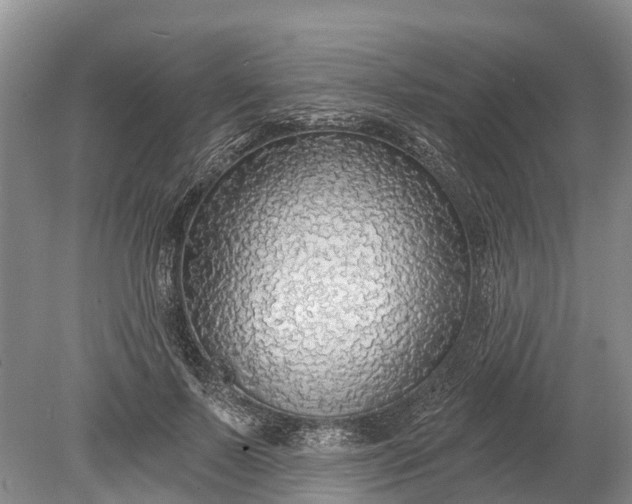 X0000078890695200611271353