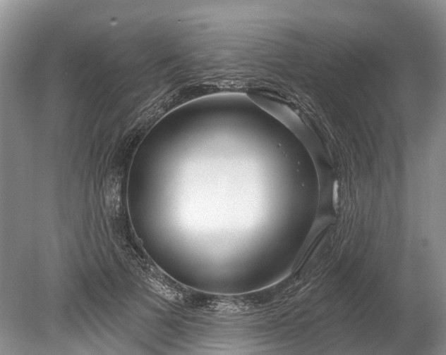 X0000078890697200611271353