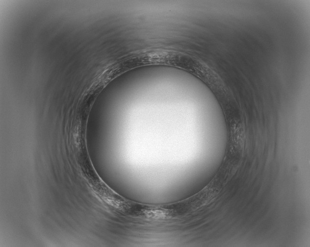 X0000078890698200611271353