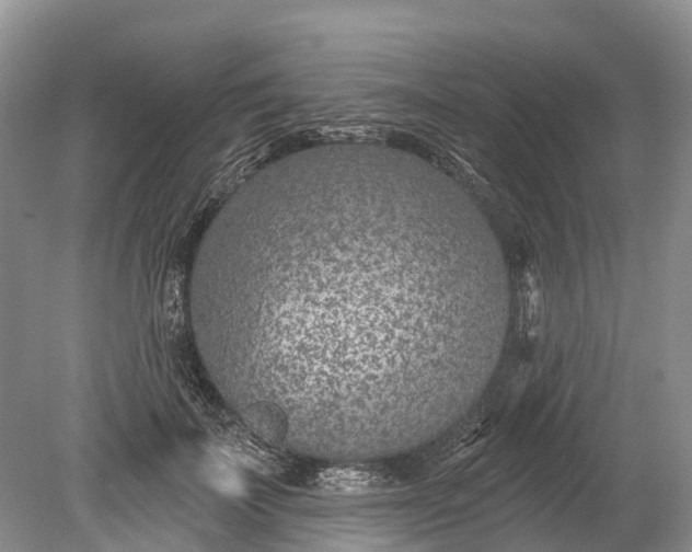 X0000078890699200611271353