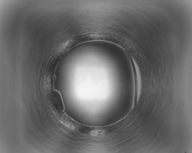 X0000078890700200611271353