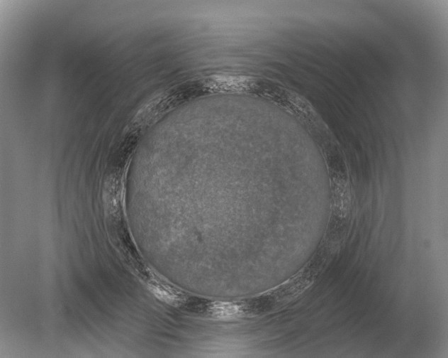 X0000078890701200611271353