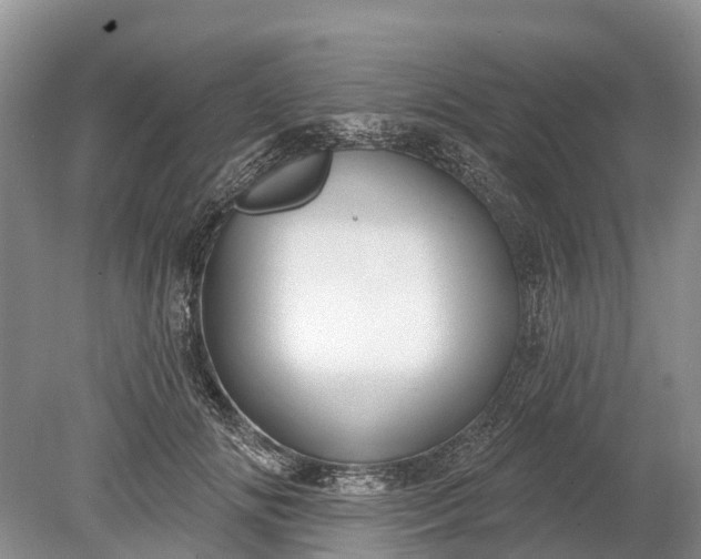 X0000078890702200611271353