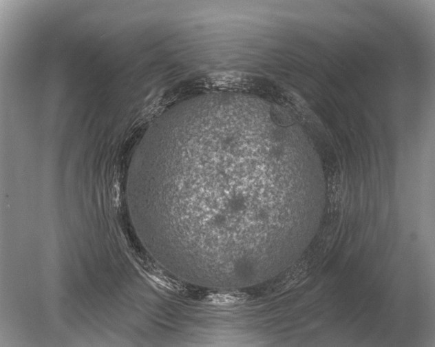 X0000078890703200611271353