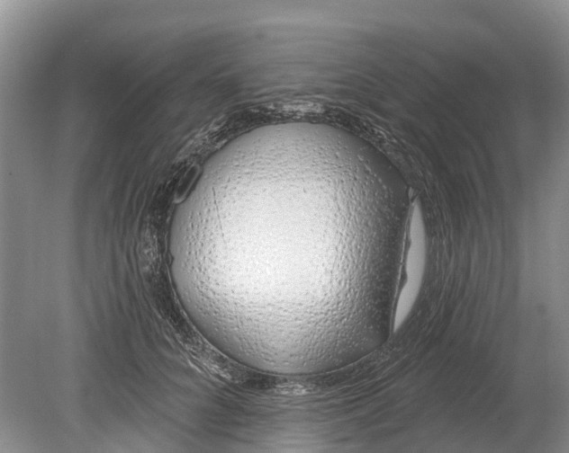 X0000078890704200611271353