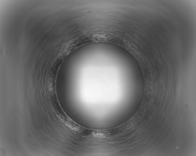 X0000078890706200611271353