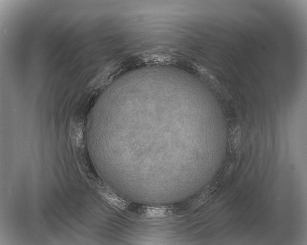 X0000078890709200611271353