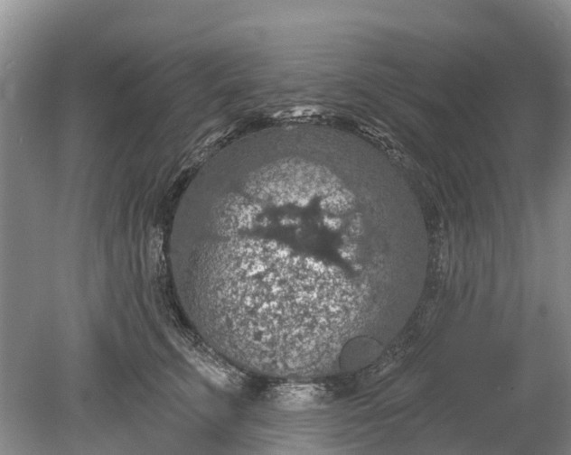 X0000078890711200611271353