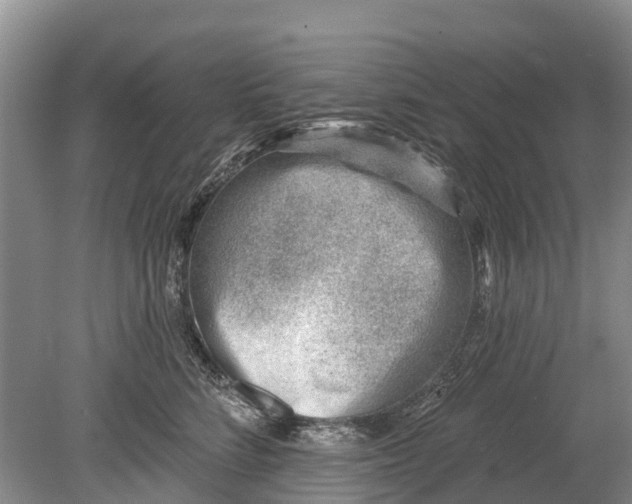 X0000078890712200611271353