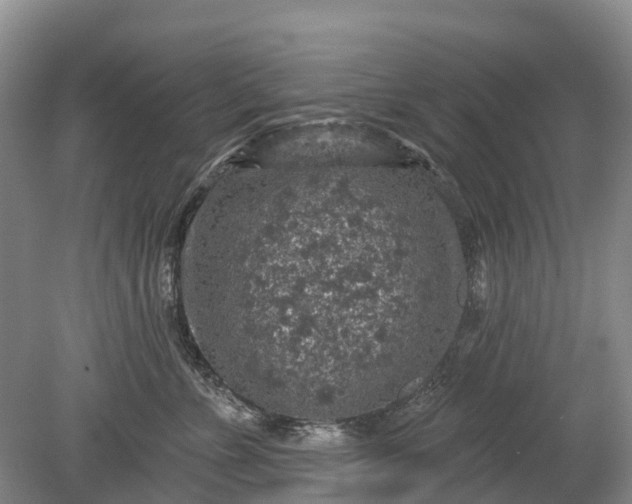 X0000078890715200611271353