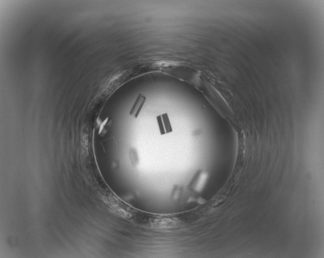 X0000078890716200611271353