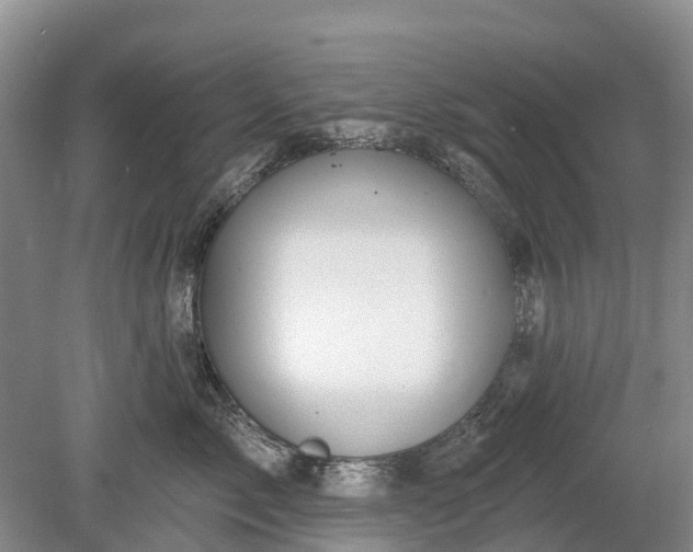 X0000078890717200611271353