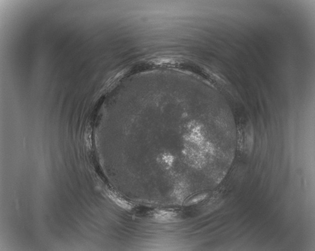 X0000078890718200611271352