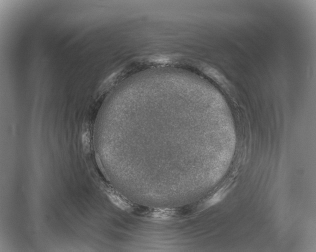 X0000078890720200611271352