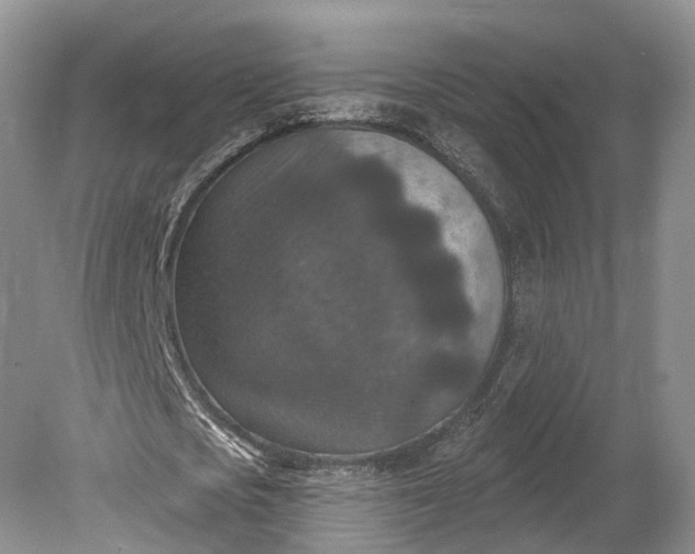 X0000078890721200611271352