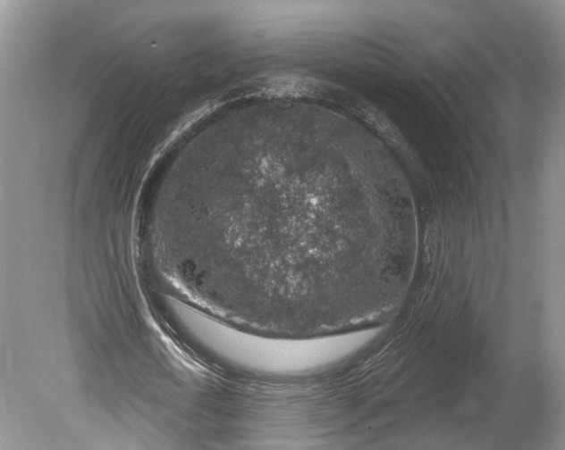 X0000078890722200611271352