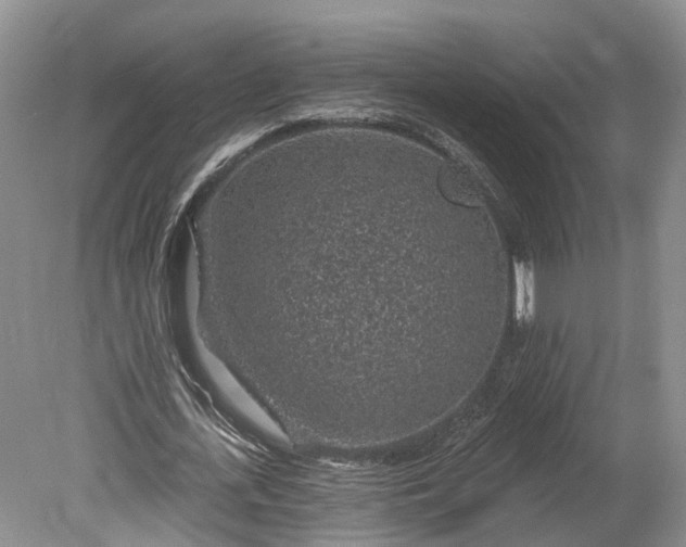 X0000078890723200611271352