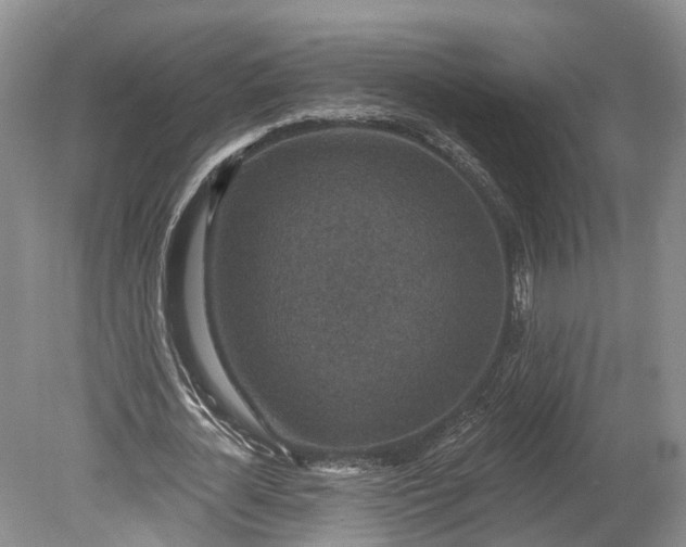 X0000078890724200611271352