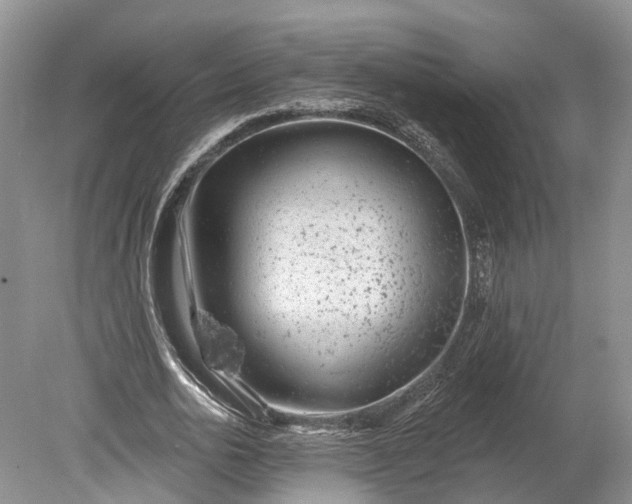 X0000078890726200611271352