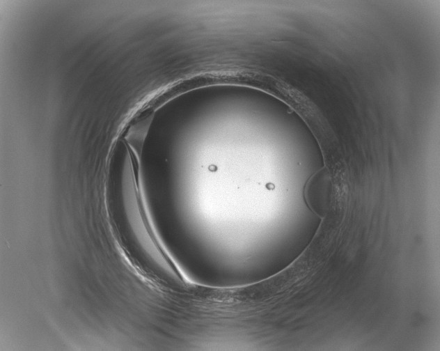 X0000078890728200611271352