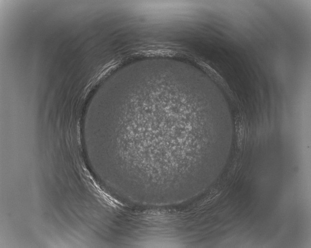 X0000078890729200611271352