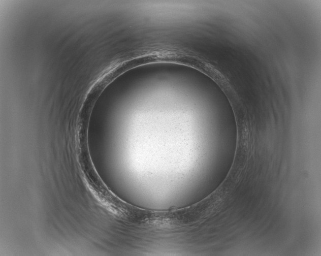 X0000078890730200611271352