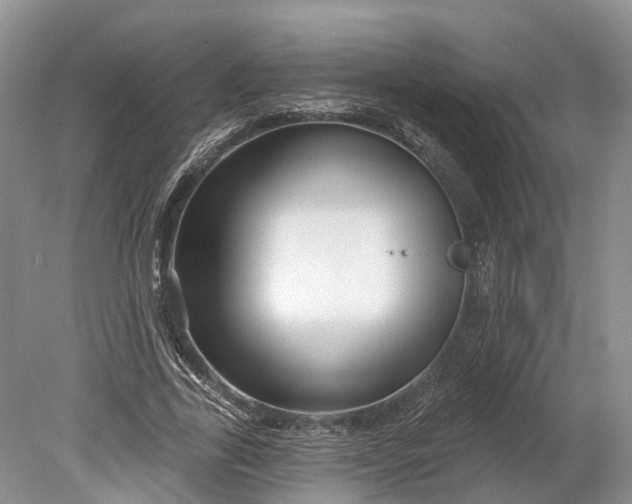 X0000078890731200611271352