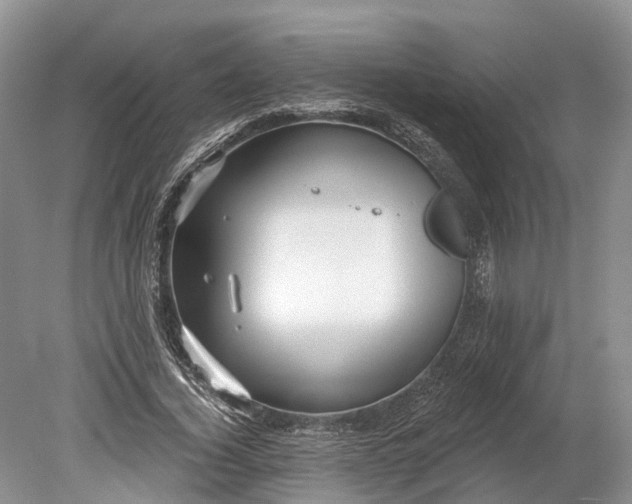 X0000078890732200611271352