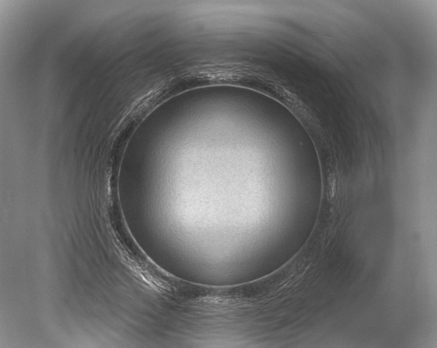 X0000078890733200611271352