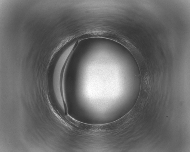 X0000078890734200611271352